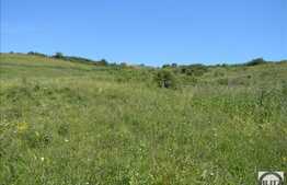 Vanzare teren, 732 mp, PUZ in lucru