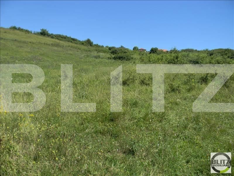 Teren de vânzare Europa - 22694TV | BLITZ Cluj-Napoca | Poza5