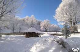 13700 mp, pentru dezvoltarea unui complex turistic la 5 km de statiunea Cavnic