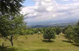 13700 mp, pentru dezvoltarea unui complex turistic la 5 km de statiunea Cavnic