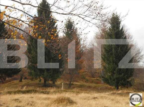 Teren de vânzare Exterior Nord - 22695TV | BLITZ Cluj-Napoca | Poza2