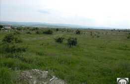 Vanzare teren 9029 mp, 2 fronturi, zona industriala