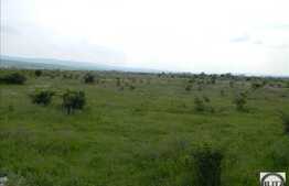 Vanzare teren 9029 mp, 2 fronturi, zona industriala