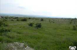 Vanzare teren 9029 mp, 2 fronturi, zona industriala