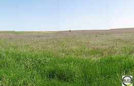 PRETABIL CONSTRUCTIE PARC LOGISTIC ! In zona Turda!