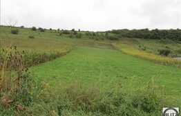 Teren de vanzare, 1000 mp, front stradal 38 ml, zona linistita de case si vile