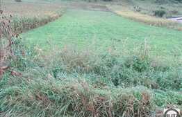 Teren de vanzare, 1000 mp, front stradal 38 ml, zona linistita de case si vile