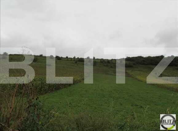 Teren de vânzare Baciu - 22700TV | BLITZ Cluj-Napoca | Poza3