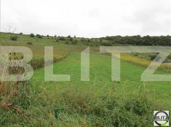 Teren de vânzare Baciu - 22700TV | BLITZ Cluj-Napoca | Poza1