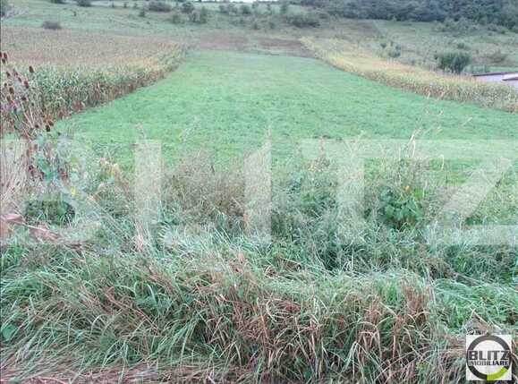 Teren de vânzare Baciu - 22700TV | BLITZ Cluj-Napoca | Poza4