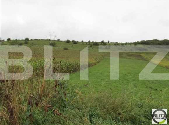 Teren de vânzare Baciu - 22700TV | BLITZ Cluj-Napoca | Poza2