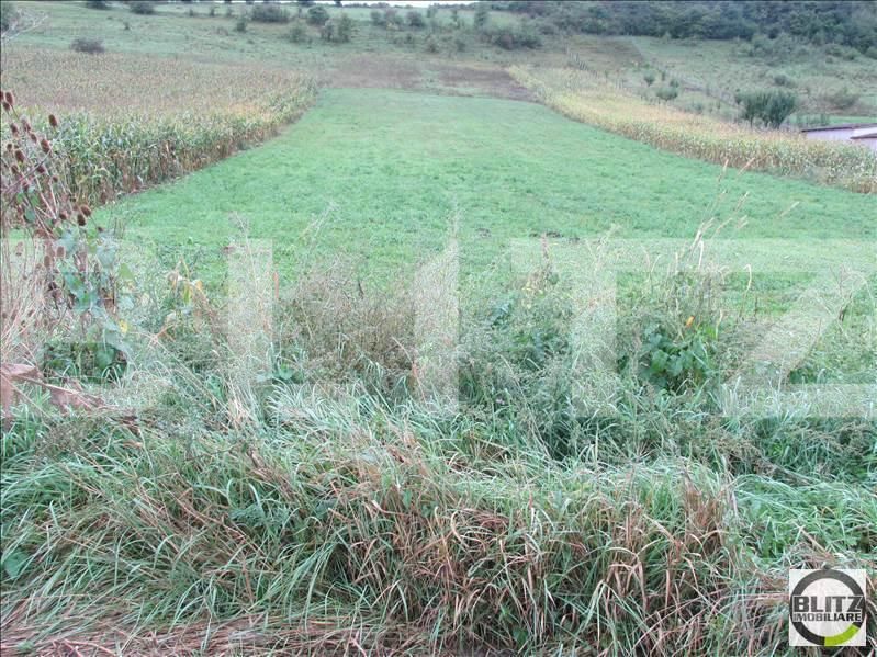 Teren de vânzare Baciu - 22700TV | BLITZ Cluj-Napoca | Poza4