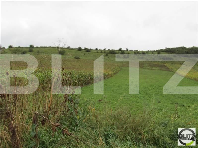 Teren de vânzare Baciu - 22700TV | BLITZ Cluj-Napoca | Poza2