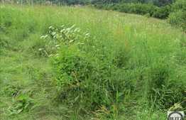 Teren intravilan pentru constructie, 800 mp