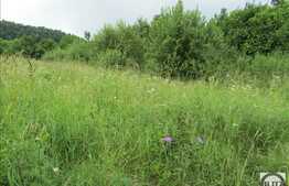 Teren intravilan pentru constructie, 800 mp