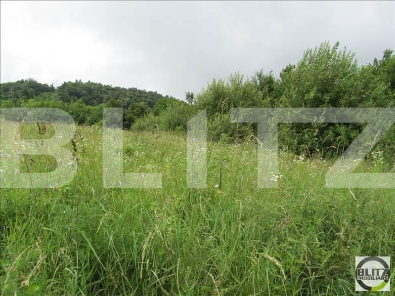 Teren de vânzare Feleacu - 22703TV | BLITZ Cluj-Napoca | Poza2