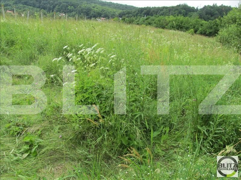 Teren de vânzare Feleacu - 22703TV | BLITZ Cluj-Napoca | Poza4