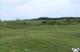 Teren de vanzare, 4.000 mp, front 50 ml