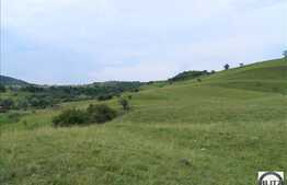 Teren de vanzare, 4.000 mp, front 50 ml