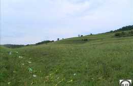 Teren de vanzare, 4.000 mp, front 50 ml