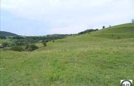 Teren de vanzare, 4.000 mp, front 50 ml