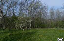 Teren de vanzare in Feleac 1100 mp, cu front 30 ml, toate utilitatile la front