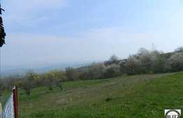 Teren de vanzare 1100 mp, front 25 ml, cu priveliste deosebita, POT 35 % CUT 0.9