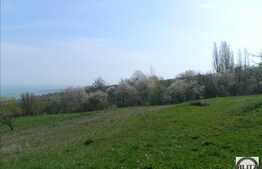 Vanzare teren in Feleac, 2145 mp, front 18 ml, utilitatile la front, cu panorama