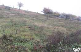 Teren 826 mp, PUZ in lucru, zona linistita de case si vile