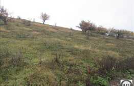 Teren 826 mp, PUZ in lucru, zona linistita de case si vile