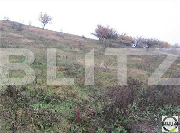 Teren de vânzare Dambul Rotund - 22711TV | BLITZ Cluj-Napoca | Poza4