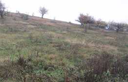 Teren 4500 mp, PUZ in lucru, zona linistita de case si vile