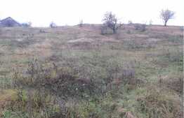 Teren 4500 mp, PUZ in lucru, zona linistita de case si vile