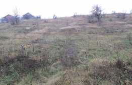 Teren 4500 mp, PUZ in lucru, zona linistita de case si vile