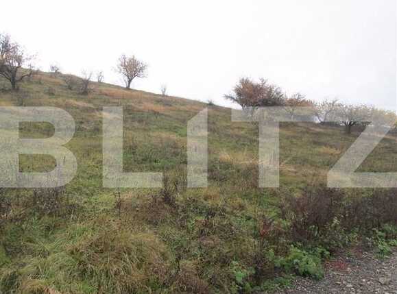 Teren de vânzare Dambul Rotund - 22712TV | BLITZ Cluj-Napoca | Poza1