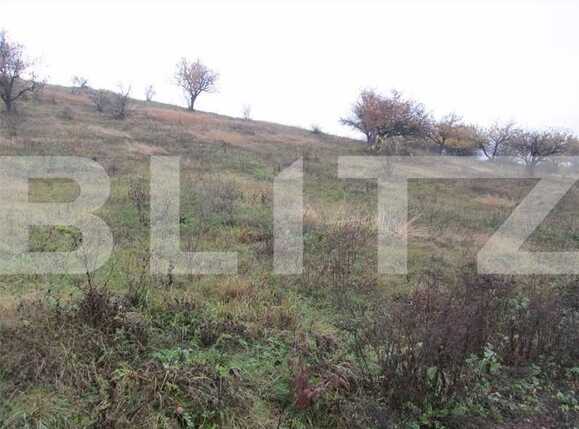 Teren de vânzare Dambul Rotund - 22712TV | BLITZ Cluj-Napoca | Poza4