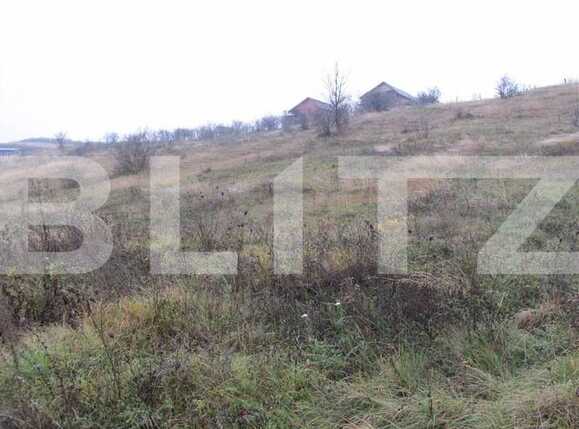 Teren de vânzare Dambul Rotund - 22712TV | BLITZ Cluj-Napoca | Poza3