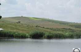 Vanzare teren 6000 mp, front 50 ml, zona linistita