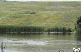 Vanzare teren 6000 mp, front 50 ml, zona linistita