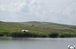 Vanzare teren 6000 mp, front 50 ml, zona linistita