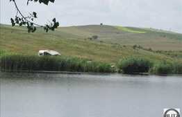 Vanzare teren 6000 mp, front 50 ml, zona linistita