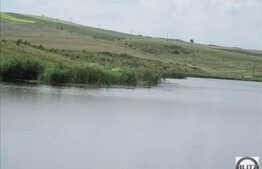 Vanzare teren 6000 mp, front 50 ml, zona linistita