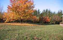 Teren 2180 mp, front 4 m, utilitati la front, zona linistita