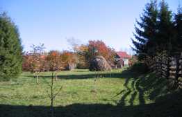 Teren 2180 mp, front 4 m, utilitati la front, zona linistita