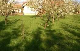 Teren 2180 mp, front 4 m, utilitati la front, zona linistita