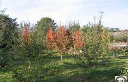 Teren 2180 mp, front 4 m, utilitati la front, zona linistita