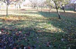 Teren 2180 mp, front 4 m, utilitati la front, zona linistita