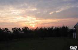 Teren 2180 mp, front 4 m, utilitati la front, zona linistita