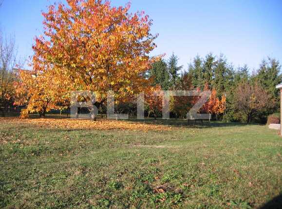 Teren de vânzare Exterior Sud - 22717TV | BLITZ Cluj-Napoca | Poza1