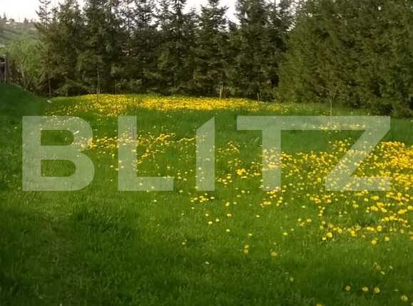 Teren de vânzare Exterior Sud - 22717TV | BLITZ Cluj-Napoca | Poza17